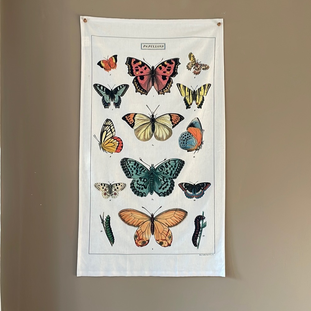 Urban outfitters butterfly tapestry